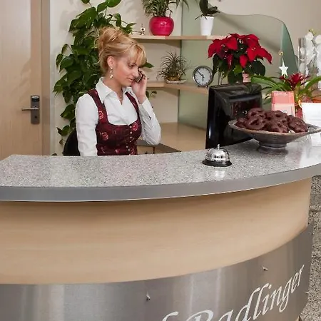 Radlinger Hotel